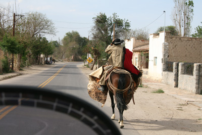 006 Gaucho on Ruta 40 near Cafayate IMG_5607.jpg